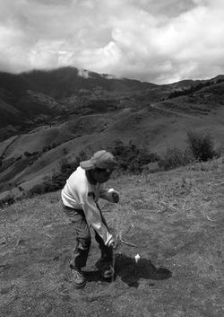 Siete poemas de Triunfo Arciniegas