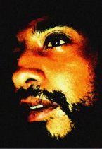 Marco Massoni-Oyarz&uacute;n