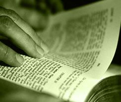 Portal �Novela espa�ola contempor�nea�