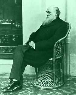 Charles Darwin (1875)