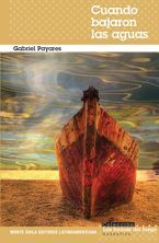 &ldquo;Cuando bajaron las aguas&rdquo;, de Gabriel Payares