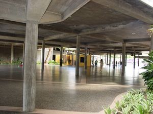 Universidad Central de Venezuela (UCV)