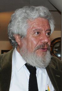 Adolfo Casta&ntilde;&oacute;n