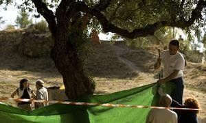 Carpa alrededor de la fosa