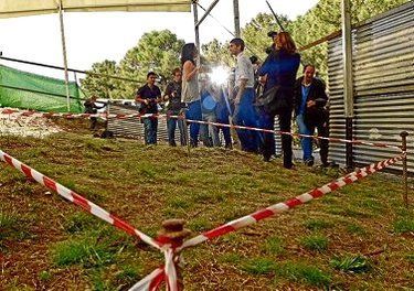 Excavaci&oacute;n en la fosa donde podr&iacute;an encontrarse los restos de Federico Garc&iacute;a Lorca