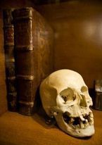 Libros asesinos