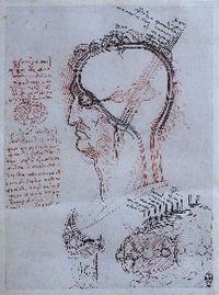 Exposici&oacute;n &ldquo;Dibujos de Leonado da Vinci&rdquo;