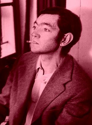 Julio Cort&aacute;zar