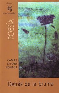 &ldquo;Detr&aacute;s de la bruma&rdquo;, de Camila Charry Noriega