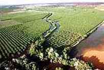 Tragedia ecol�gica en Do�ana