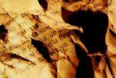 Bestiario de amor, por Carlos Barbarito