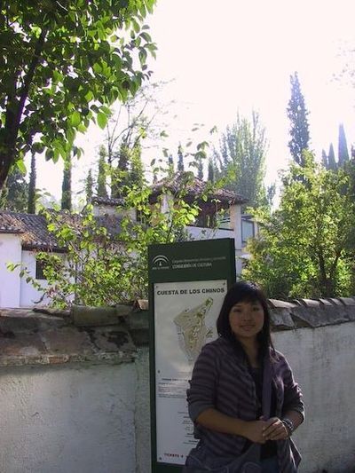 Siempre fui a Granada