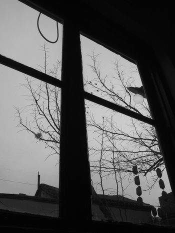 Cr&oacute;nica en un caf&eacute; de ensayo
