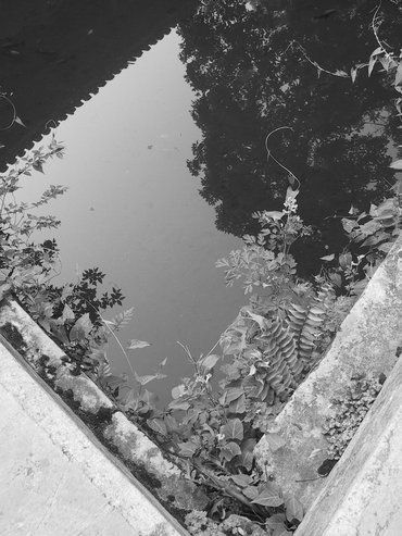 De las aguas