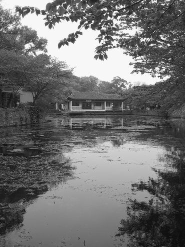 De las aguas