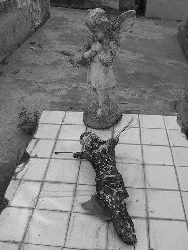 Esquema del infante impropio
