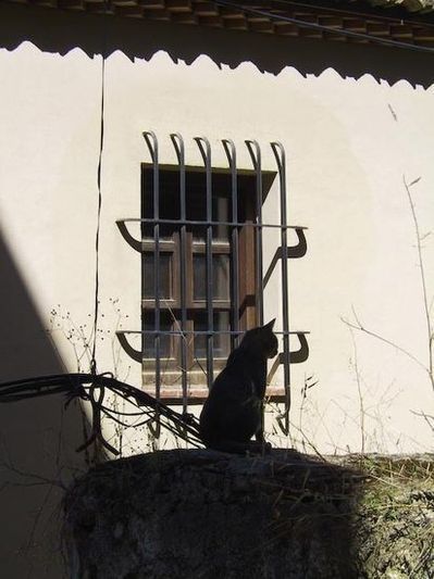 Siempre fui a Granada