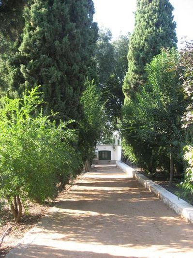 Siempre fui a Granada