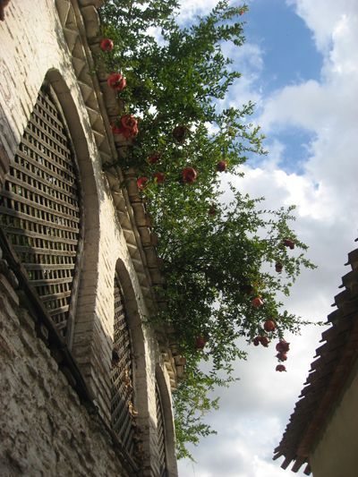 Siempre fui a Granada