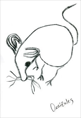 Las ratas