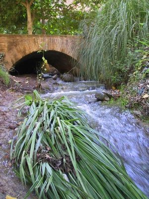 Calles, puentes y dem&aacute;s discursos de la memoria