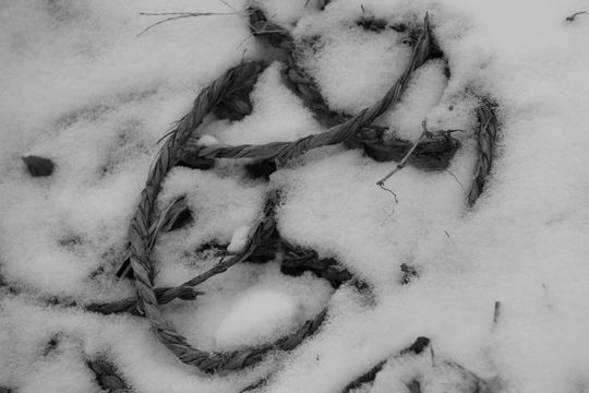 Introitos de la nieve sublimada