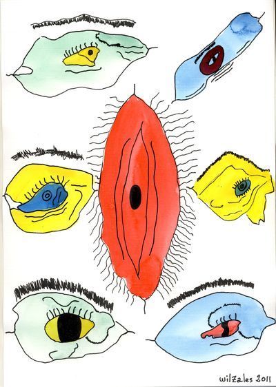 Ojos (que has) de temer