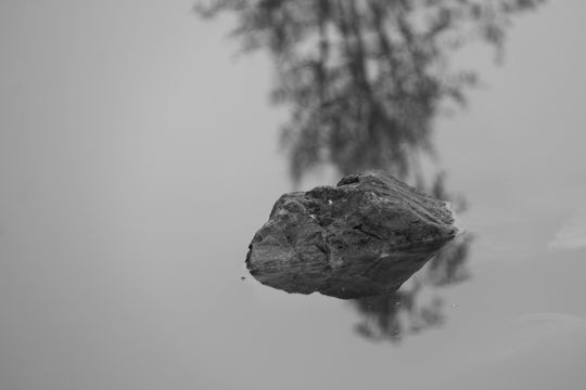 Piedras del agua