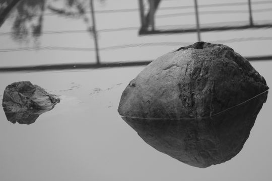 Piedras del agua