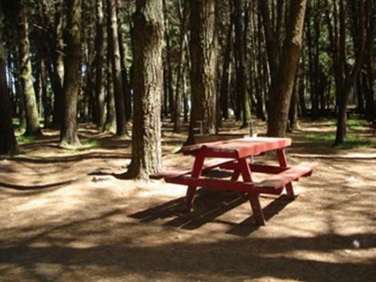 Sur de Chile