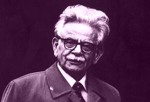 El&iacute;as Canetti