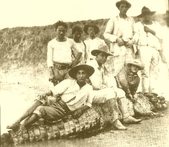 R&oacute;mulo Gallegos