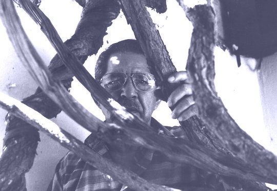 Otilio Gal&iacute;ndez