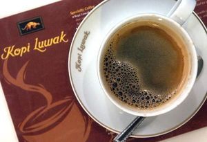 Kopi-Luwak