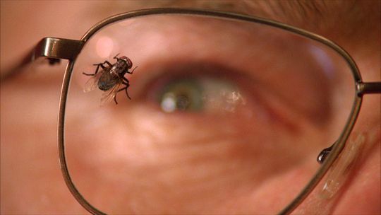 &ldquo;Mosca&rdquo;, episodio de la serie &ldquo;Breaking Bad&rdquo;