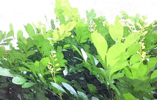 Fotograf&iacute;a: JGJ