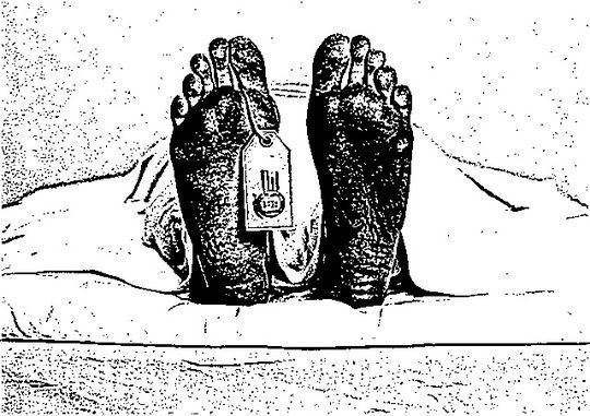 Sobre fotograf&iacute;a original de RG Images - STOCK4B