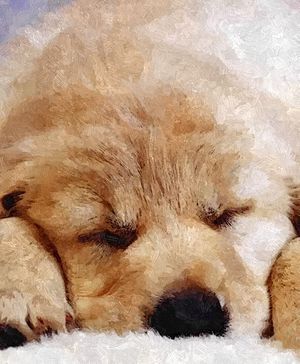 La borrachera de Mops