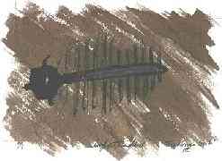 Una lecci�n de historia