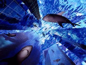 Si los tiburones fuesen hombres