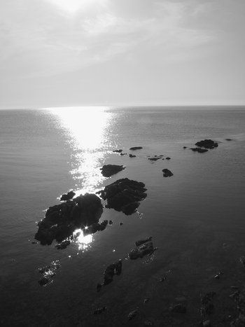 Fotograf&iacute;a: Wilfredo Carrizales