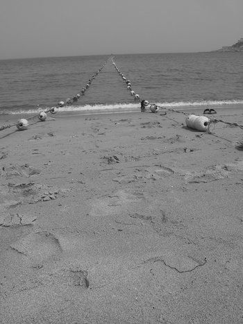 Fotograf&iacute;a: Wilfredo Carrizales