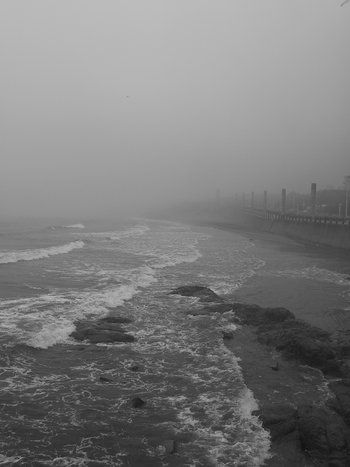 Fotograf&iacute;a: Wilfredo Carrizales
