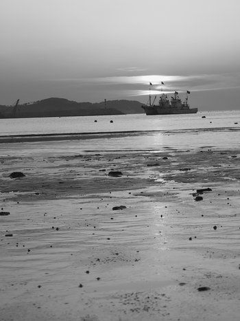 Fotograf&iacute;a: Wilfredo Carrizales