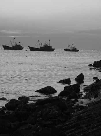 Fotograf&iacute;a: Wilfredo Carrizales