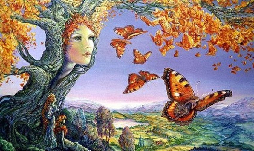 Ecología, desequilibrio en la naturaleza y ausencia de un divino director