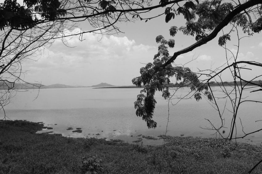 Sobrevivientes del o en el ocaso, por Wilfredo Carrizales