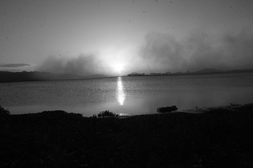 Sobrevivientes del o en el ocaso, por Wilfredo Carrizales