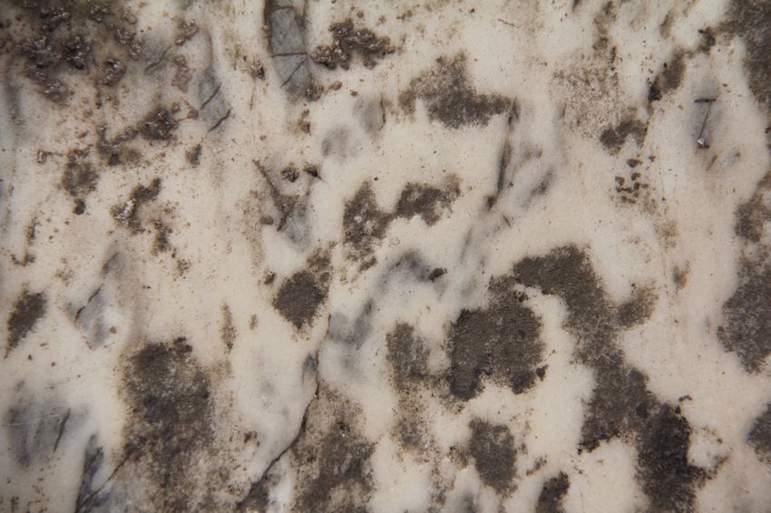 Superficies adicionales, por Wilfredo Carrizales