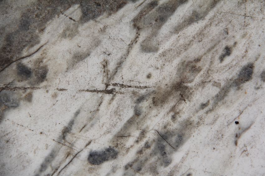 Superficies adicionales, por Wilfredo Carrizales